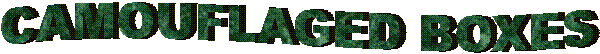 CAMOUFLAGED BOX